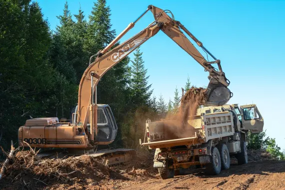 Casino Pizazz Bingo Supporto